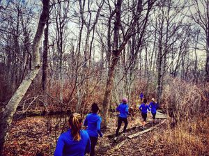 Image post by @hofstratrackxc on Instagram