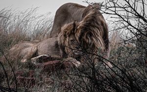 Image post by @christianjdyer on Instagram