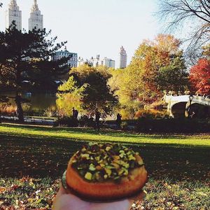 Image post by @lepainquotidienus on Instagram