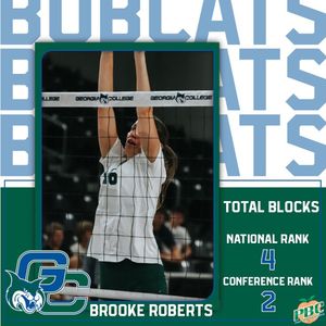Image post by @gcsubobcats on Instagram