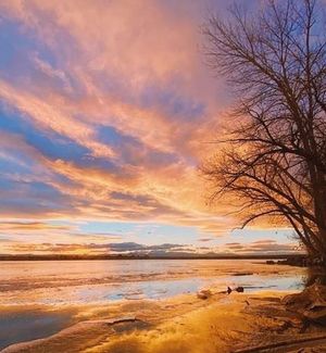 Image post by @fox31denver on Instagram