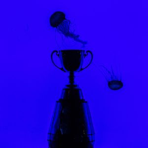 Image post by @torontoargos on Instagram