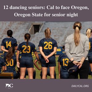 Image post by @dailycalsports on Instagram