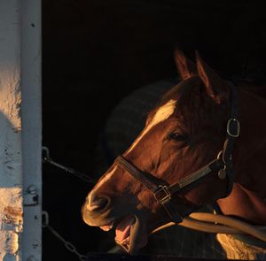 Image post by @kentuckyderby on Instagram