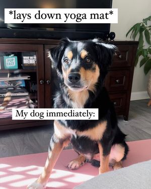 Image post by @booplethesnoot on Instagram