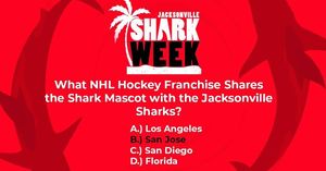 Image post by @jaxsharks on Instagram