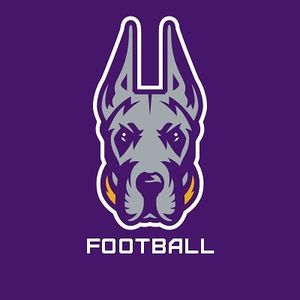 Image post by @ualbanyfootball on Instagram