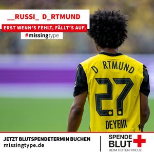 Image post by @BVB on Twitter