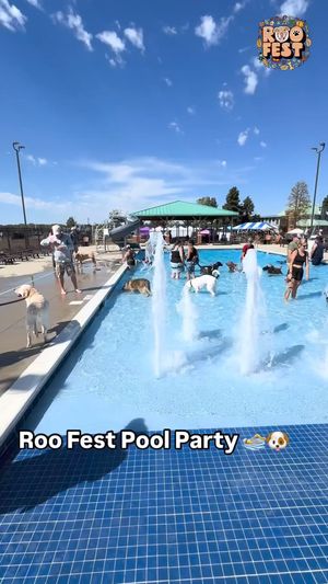 Video post by @LiveLikeRoo on Facebook