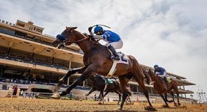 Image post by @spendthriftfarm on Instagram