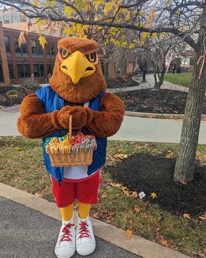 Image post by @rockyredhawk on Instagram