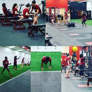 Image post by @templefencing on Instagram