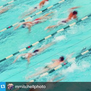 Image post by @msu_fieldhockey on Instagram