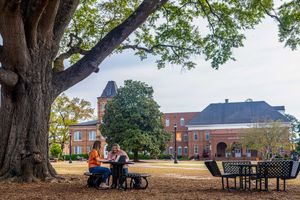 Image post by @campbelledu on Instagram