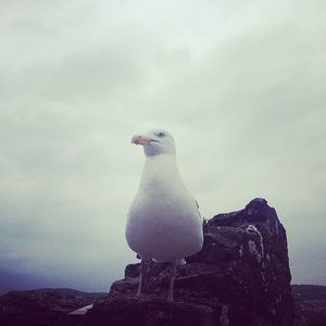 Image post by @simonellis87 on Instagram
