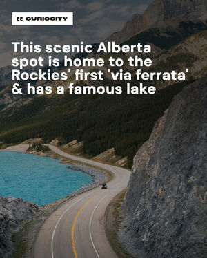 Image post by @curiocitycalgary on Instagram