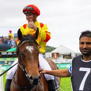 Image post by @australianturfclub on Instagram