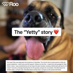 Image post by @livelikeroofoundation on TikTok