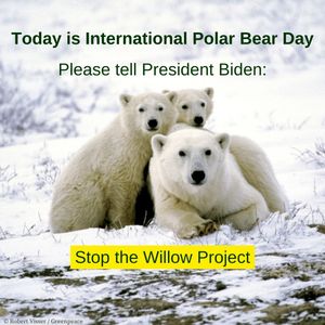Image post by @greenpeaceusa on Instagram