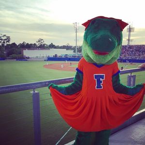 Image post by @albertathegator on Instagram