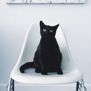 Image post by @turbotax on Instagram