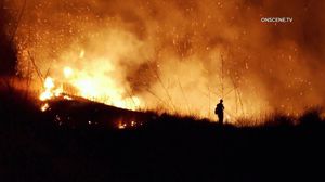 Image post by @reel_jamie on Instagram