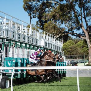 Image post by @australianturfclub on Instagram