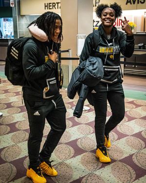 Image post by @uapblionswbb on Instagram