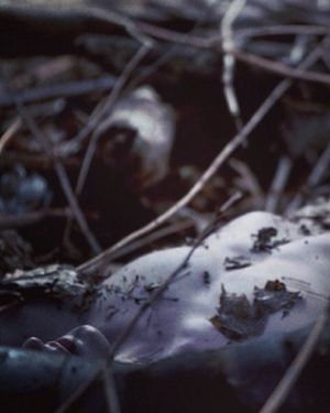 Image post by @carterbedloesmith on Instagram