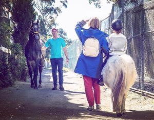 Image post by @australianturfclub on Instagram