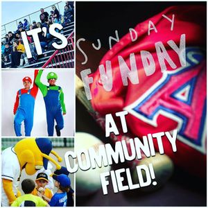 Image post by @burlington_bees on Instagram