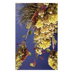 Image post by @centre3_ on Instagram