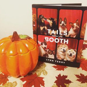 Image post by @gallerybooks on Instagram