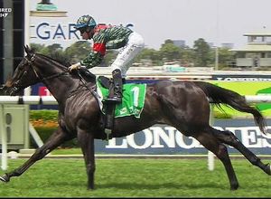 Image post by @australianturfclub on Instagram