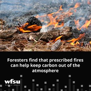 Image post by @wfsupublicmedia on Instagram