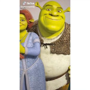 Image post by @tiktok on Instagram