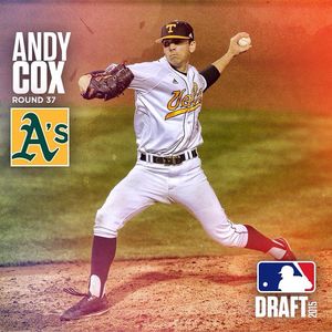 Image post by @vol_baseball on Instagram