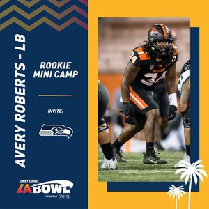 Image post by @labowlgame on Instagram