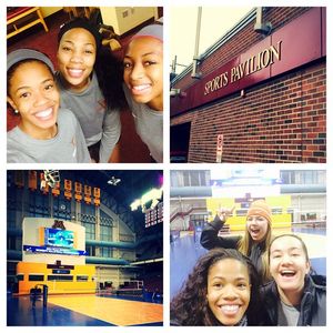 Image post by @texasvolleyball on Instagram