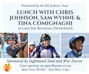 Image post by @NZHorseAmbulanceTrust on Facebook