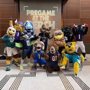 Image post by @blitztheseahawk on Instagram