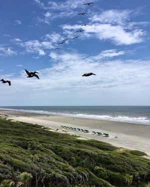 Image post by @kiawahresort on Instagram