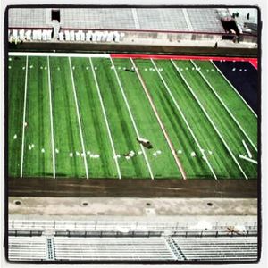 Image post by @azathletics on Instagram