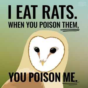 Image post by @centerforbiodiv on Instagram
