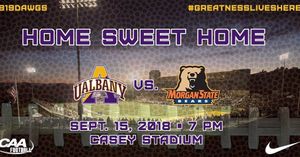 Image post by @ualbanyfootball on Instagram