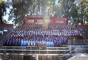 Image post by @thebluedevils on Instagram