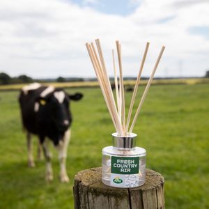 Image post by @arladairyuk on Instagram
