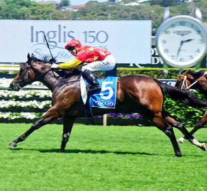Image post by @australianturfclub on Instagram