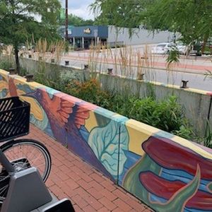 Image post by @liveitupraleigh on Instagram