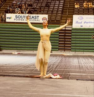 Image post by @wgicolorguard on Instagram